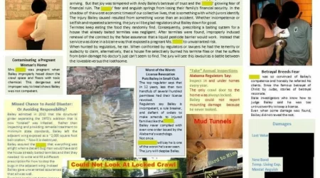 How to Miss $207,000 in Termite Damage: Never Look for It