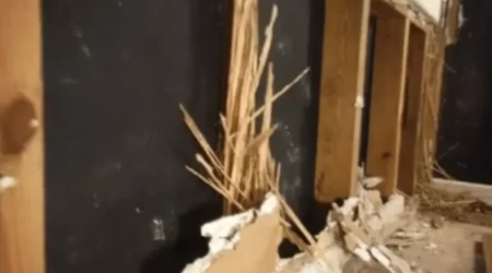 D&A Exterminating (NOLA) Fraud Claim. Wall Stud Looks Solid – Explodes on Impact