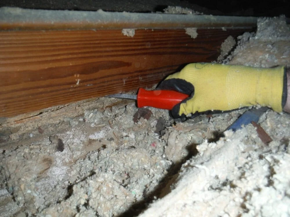 Do You Have to Be A Former Management-side Labor Lawyer to See Termite Damage Like This in an Attic? - 6