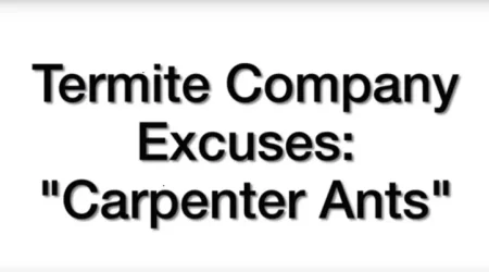 Termite Company Excuses: Carpenter Ants