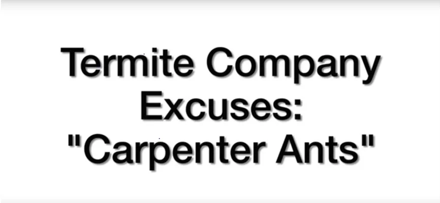 Termite Company Excuses: Carpenter Ants