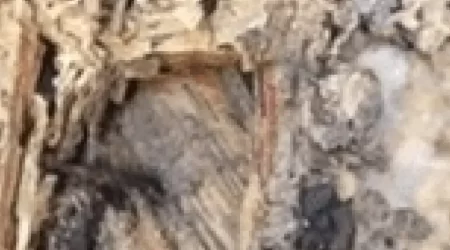 Living Room Collapses in Home of 86 Year Old