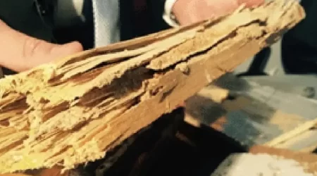 Lives and Homes are Often Ruined by Termite Companies