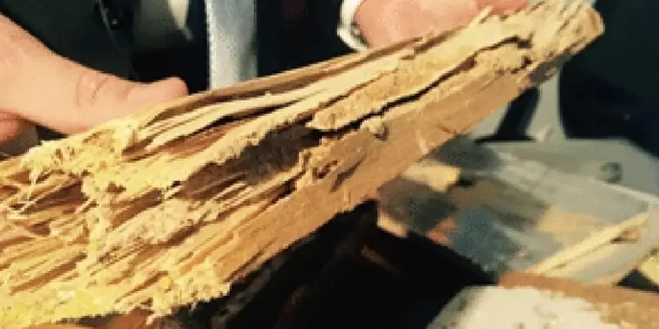 Lives and Homes are Often Ruined by Termite Companies