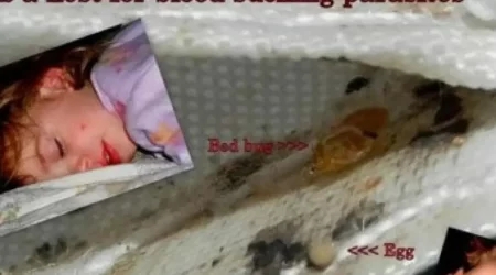 Little Emma was tortured at Regency Gates Apartments in Mobile