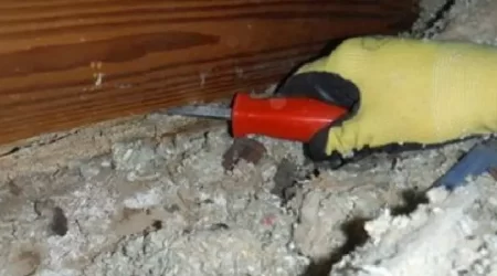 Termites Company Hides Damage to Ceiling Joists and Roof
