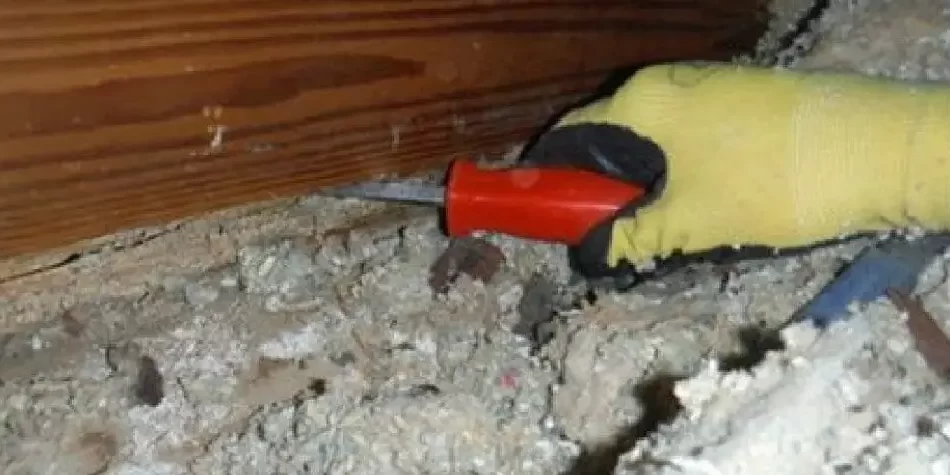 Termites Company Hides Damage to Ceiling Joists and Roof