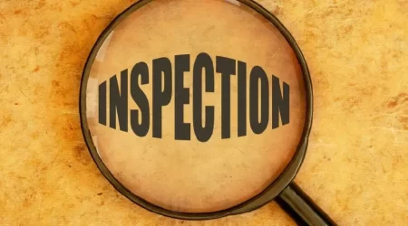 Understanding Termite Inspections