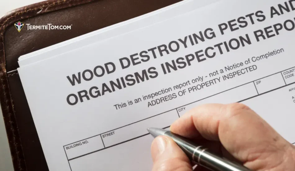 Termite Inspection Fraud: When Reports Fail Homeowners