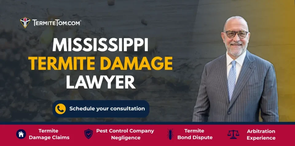 Mississippi Termite Damage Lawyer