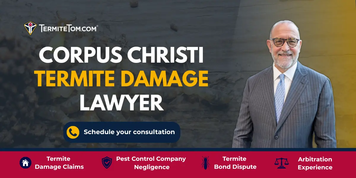 Corpus Christi Termite Damage Lawyer