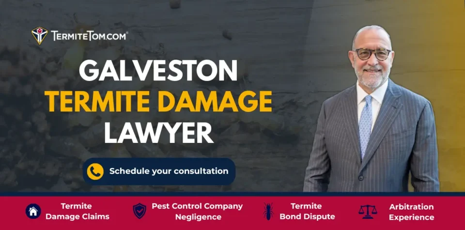 Galveston Termite Damage Lawyer