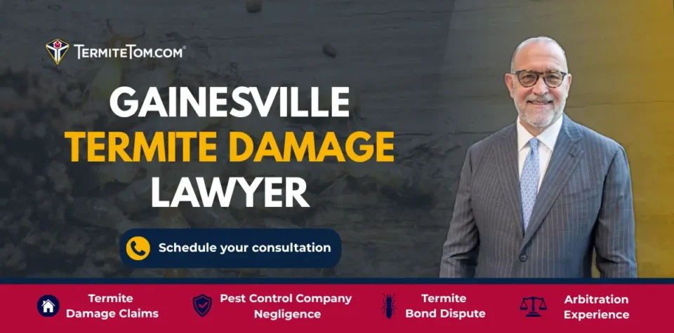 Gainesville Termite Damage Lawyer